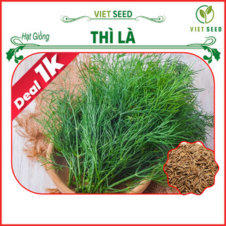 Deal 1k - hạt giống thì là gói 50 hạt - hạt giống 4 mùa
