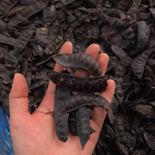 TRÁI BỒ KẾT KHÔ 100 GR
