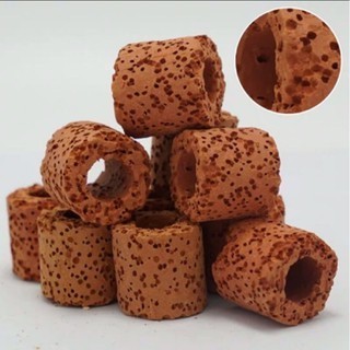 Sứ viên đỏ cho hồ cá thủy sinh 100g