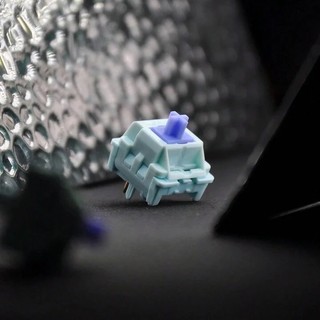Switch MZ Z1