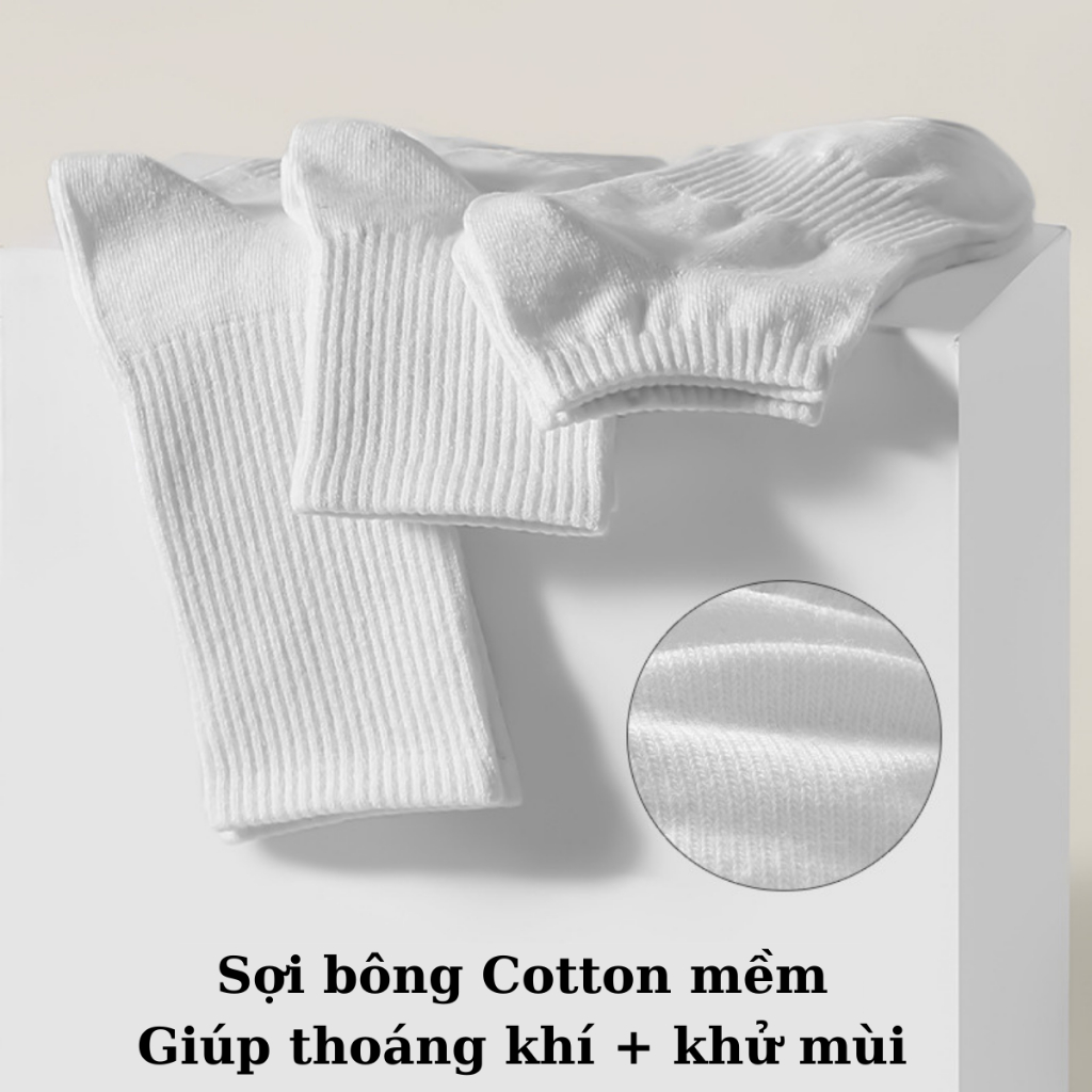 Tất Nam nữ Cotton, tất khử mùi có bo cổ chân và bo lòng bàn chân, thoáng khí, tất đanh, dai, ôm chân đi giày thoải mái
