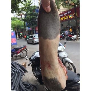 Lưỡi bò tươi 160k/kg