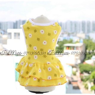 ĐẦM TẦNG HOA CÚC CHO THÚ CƯNG 🌼