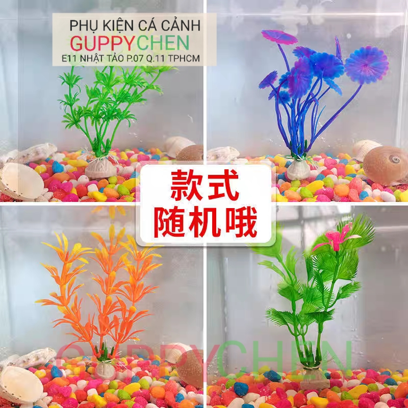 Cây thủy sinh nhựa trang trí hồ cá tiểu cảnh terarium