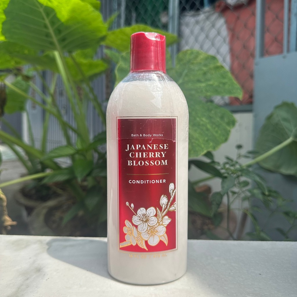 Dầu gội xả Bath & Body Works - Japanese Cherry Blossom 473ml