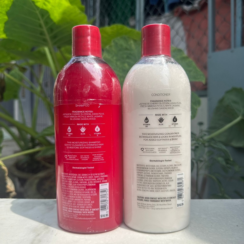 Dầu gội xả Bath & Body Works - Japanese Cherry Blossom 473ml