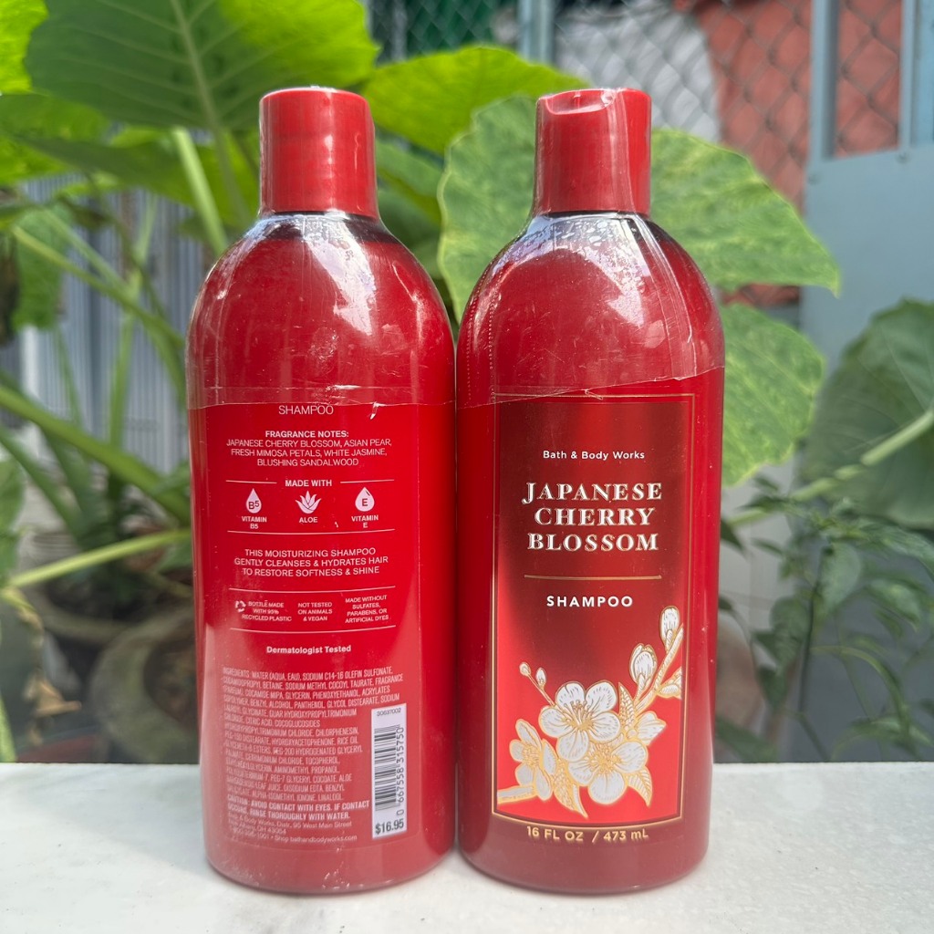 Dầu gội xả Bath & Body Works - Japanese Cherry Blossom 473ml