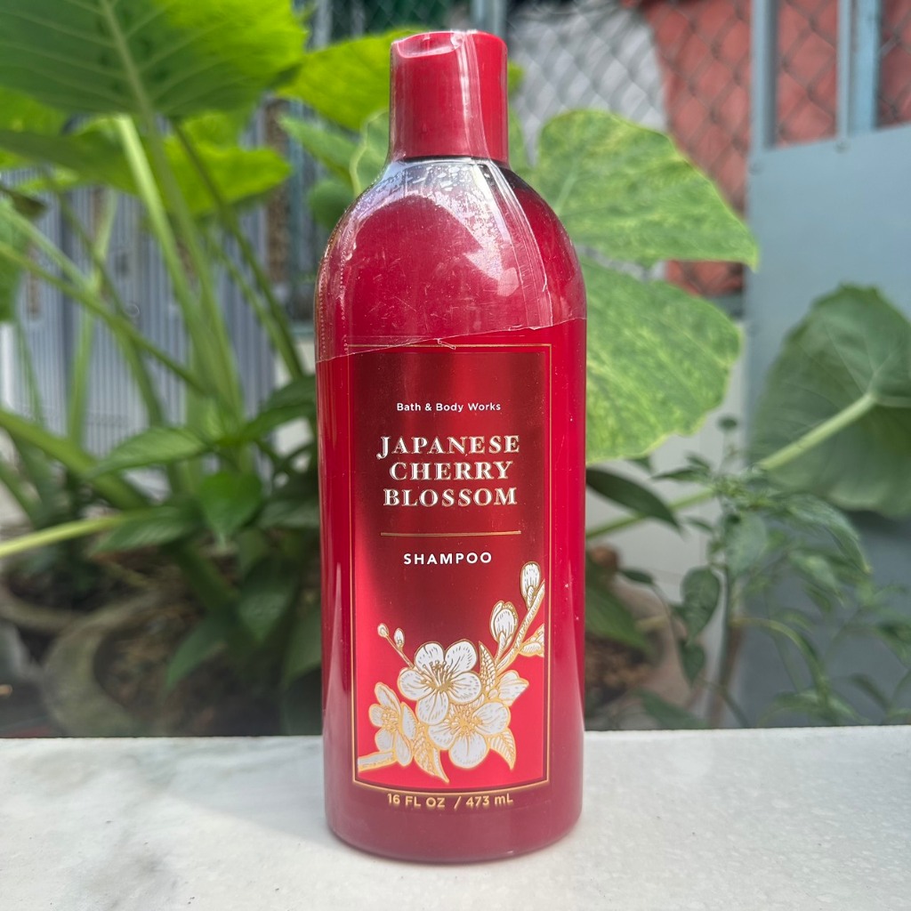 Dầu gội xả Bath & Body Works - Japanese Cherry Blossom 473ml