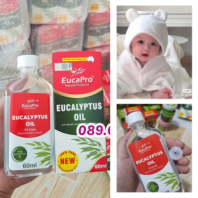 dầu khuynh diệp Úc Eucapro / euky bear/ kangaroo