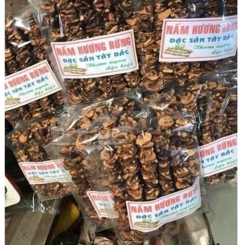 Nấm Hương Rừng Đặc Sản Tây Bắc Tự Nhiên