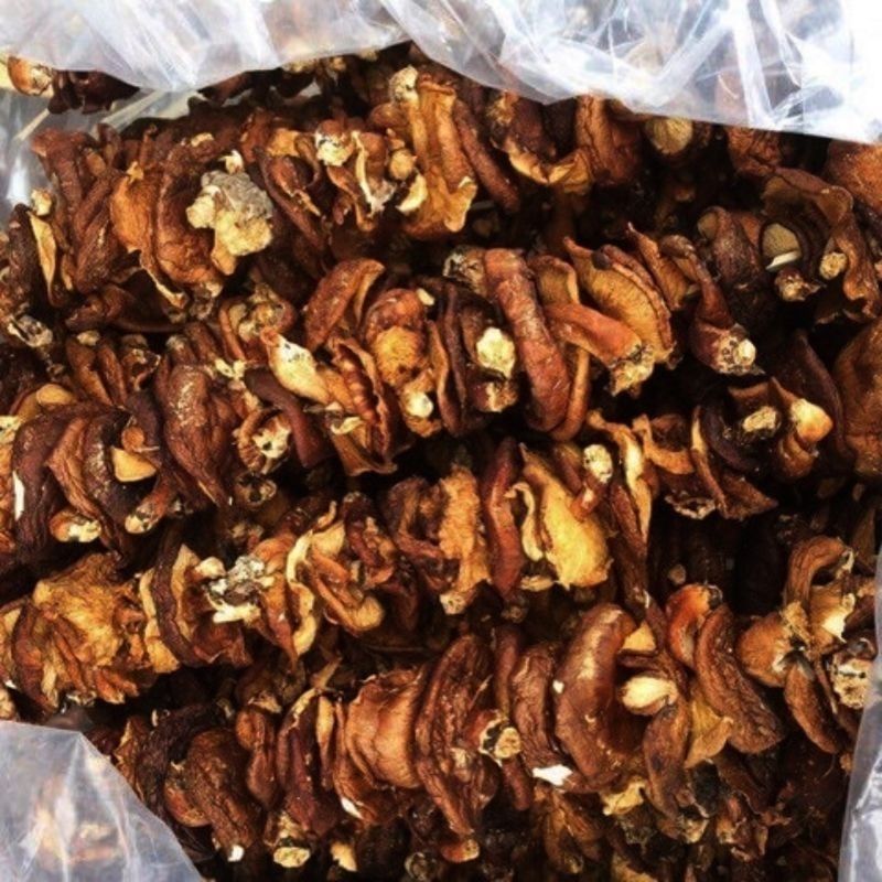 Nấm Hương Rừng Đặc Sản Tây Bắc Tự Nhiên