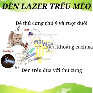 Đèn Lazer trêu mèo