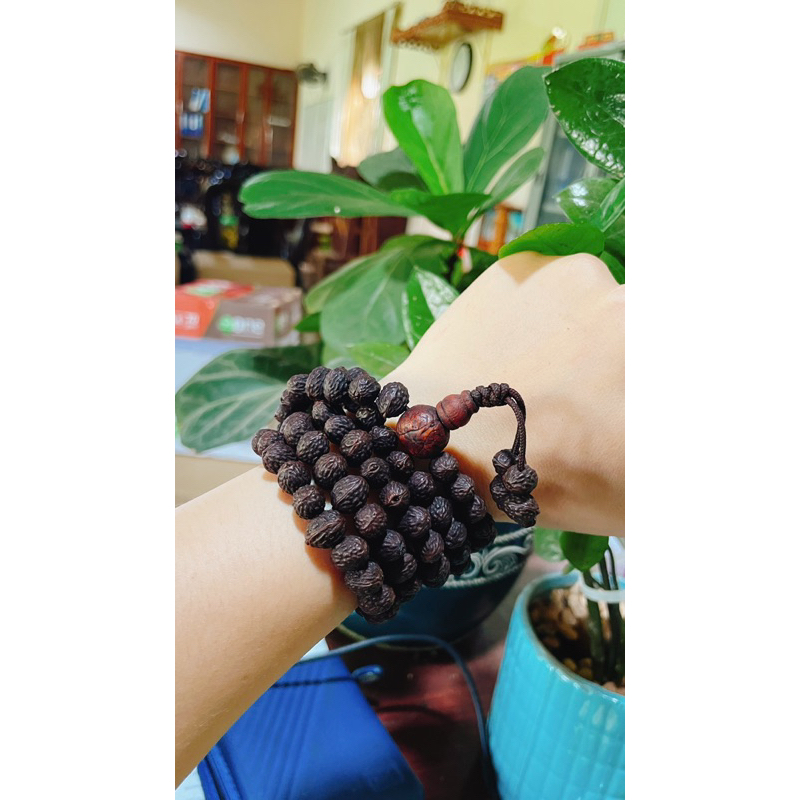 Chuỗi Hạt Raktu Phật Nhãn 8mm