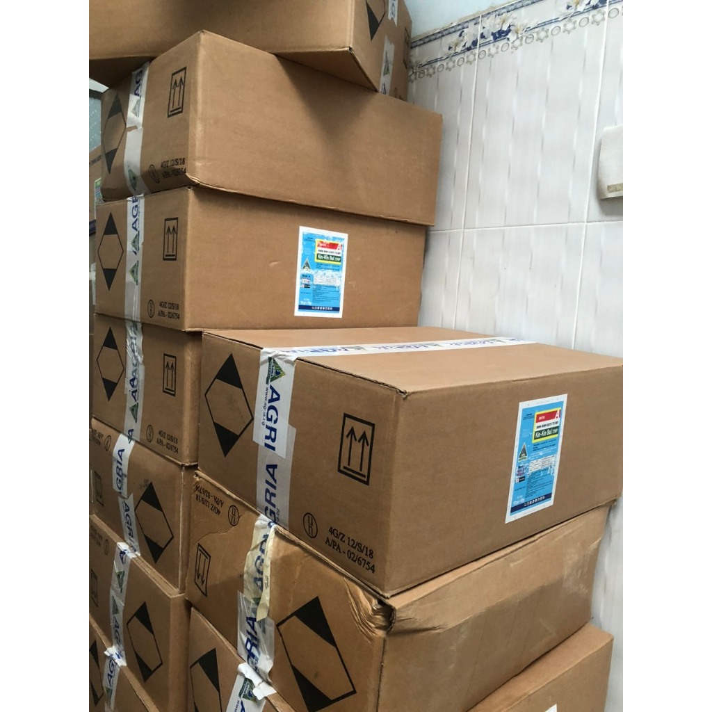 KINKINBUL 72WP 45GRAM