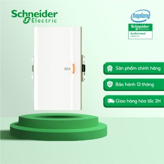 Công tắc 2 cực 3031EMD20NM_G19  20A có đèn báo size L dòng Concept SCHNEIDER (công tắc bình nóng lạnh)