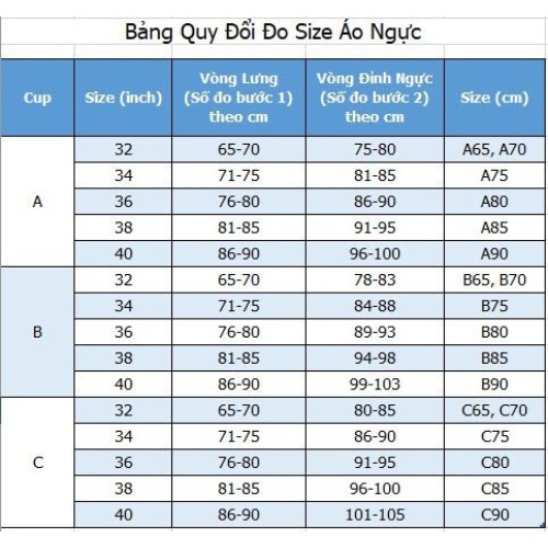 Áo Ngực Chữ U Hở Lưng BEBECHIC BR004