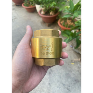 Lupe van 1 chiều lò xo đồng phi 42 49 60