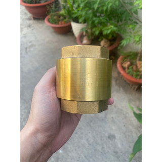 Lupe van 1 chiều lò xo đồng phi 42 49 60