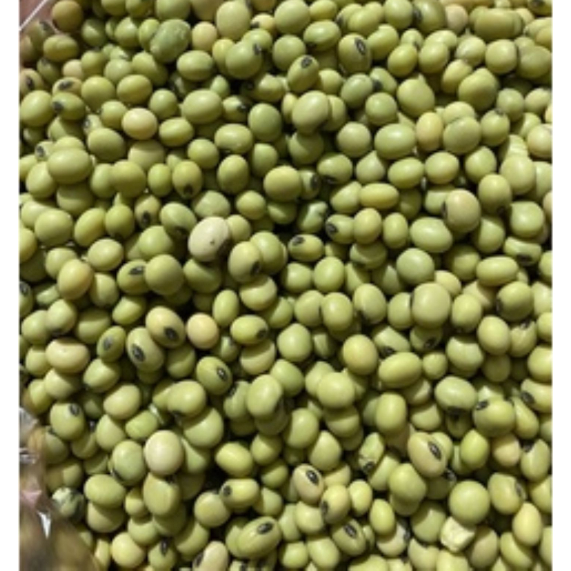 Đậu Tương Xanh  Thuần Chủng Làm Mầm Đậu Nành - Quifood