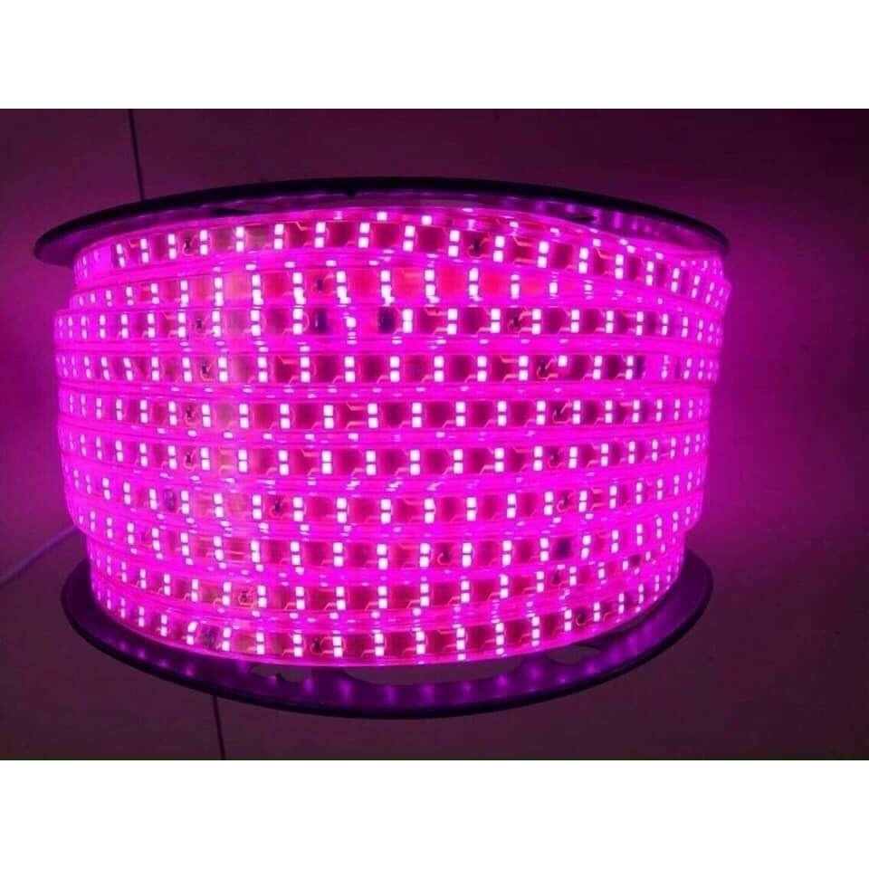 Dây led 3 hàng 2 hàng đổi màu Led 3 mắt hắt trần quấn cây siêu sáng loại 1 chống nước