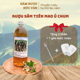 Rượu Sâm Tiên Mao Ủ Chum Đặc Sản Hương Vị Thơm Ngon Chất Lượng Giá Tốt 1000ml