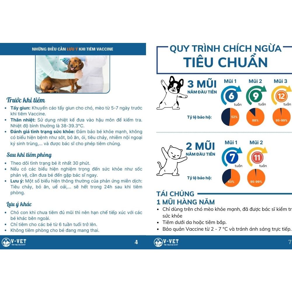 Sổ theo dõi sức khoẻ, lịch tiêm phòng cho chó mèo