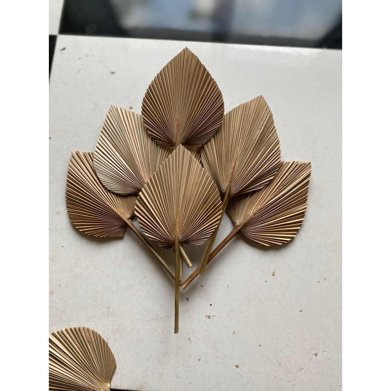 Lá cọ mini kích thước