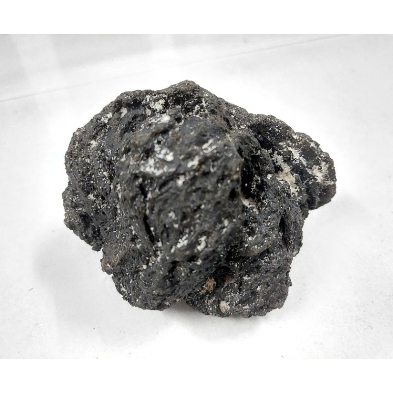 Đá biển tự nhiên trang trí thủy sinh