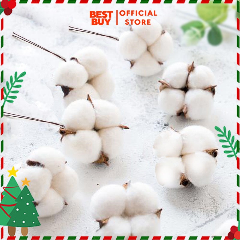 Hoa bông gòn khô nhiều màu - Trang trí noel, trang trí tết, decor