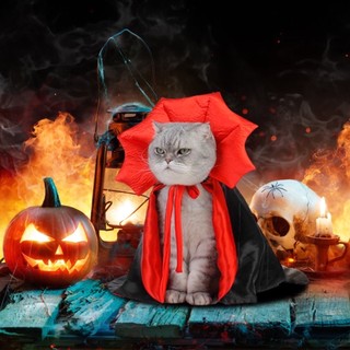 Áo Choàng Cho Thú Cưng Cosplay Halloween
