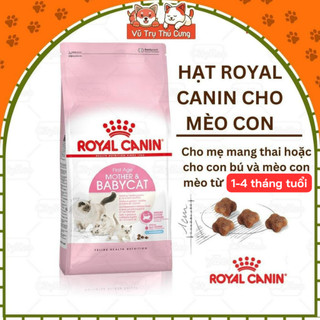 Thức ăn hạt cho mèo con Royal Canin Mother & Babycat