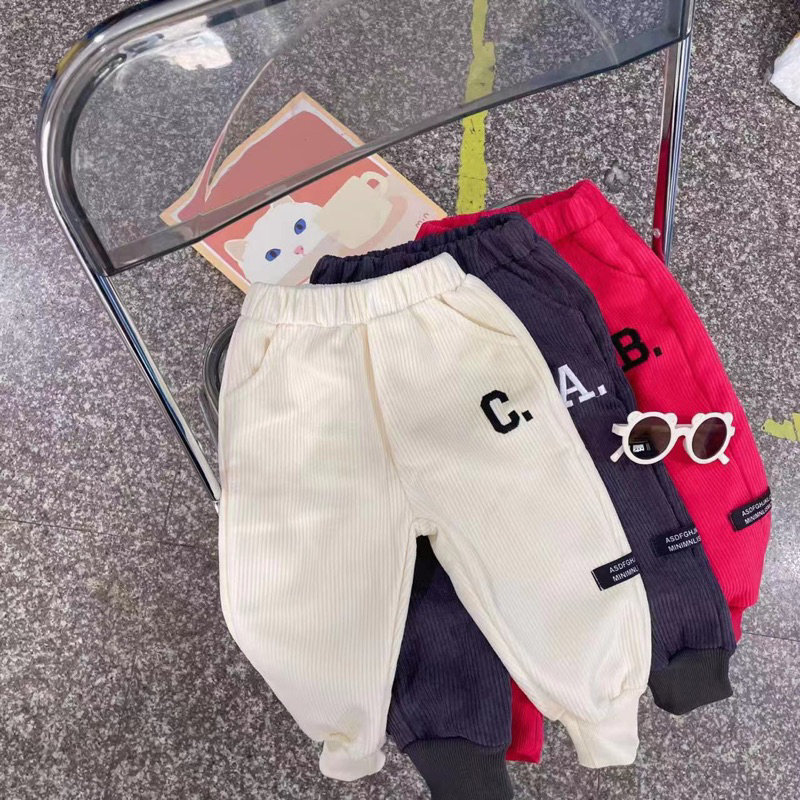 Quần NHUNG NỈ DÀY cho bé mã 4763