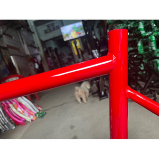 Khung xe đạp Fixed Gear