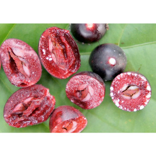 CÂY GIỐNG SI RÔ SIÊU TRÁI
