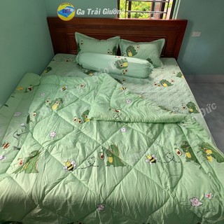 Bộ chăn ga gối trần bông bo chun + chăn phao sét 5 món