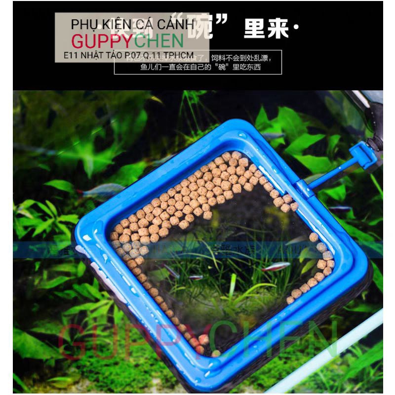 Vòng đựng cám hình tròn và vuông cho cá
