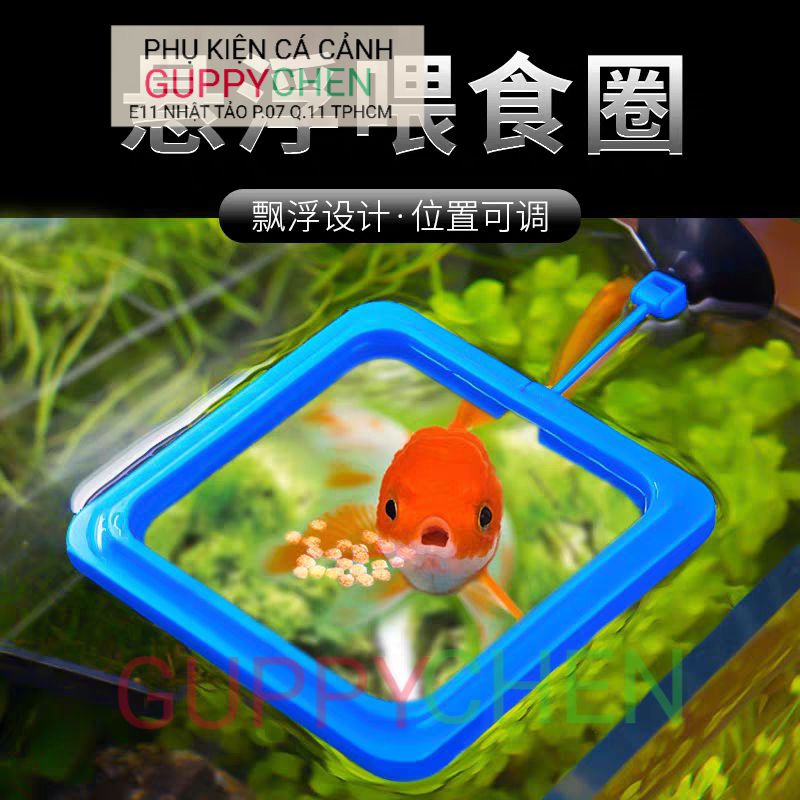 Vòng đựng cám hình tròn và vuông cho cá