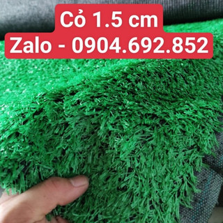 Cỏ Nhân Tạo Trải Thảm Sự Kiện Giá Siêu Rẻ - Sợi 1.5cm