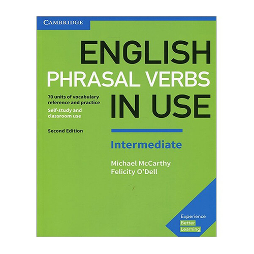 Phrasal verbs in use