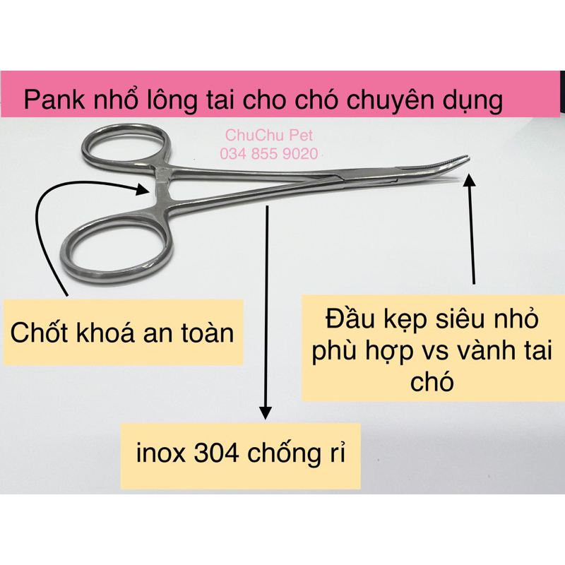 Pank - nhíp - kẹp nhổ lông tai chuyên dụng cho thú cưng - ChuChu Pet