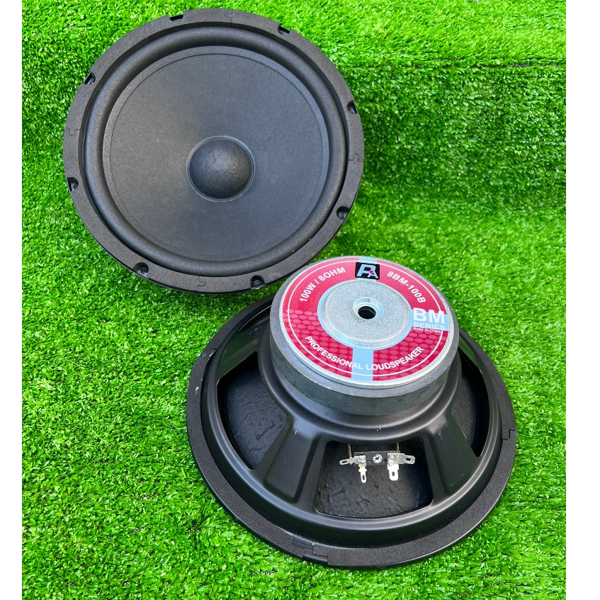 loa bass 25 BM từ 126 coil 42 bass sâu căng - loa karaoke - loa kéo - 2 củ