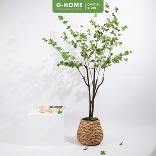 Cây Thạch Nam decor không gian nhà Ghome, cây giả làm mới không gian nhà hiện đại CÂY THẠCH NAM