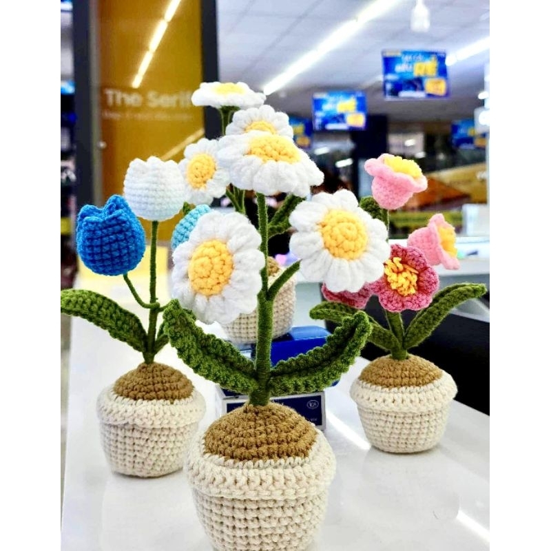 Chậu hoa mini bằng len handmade