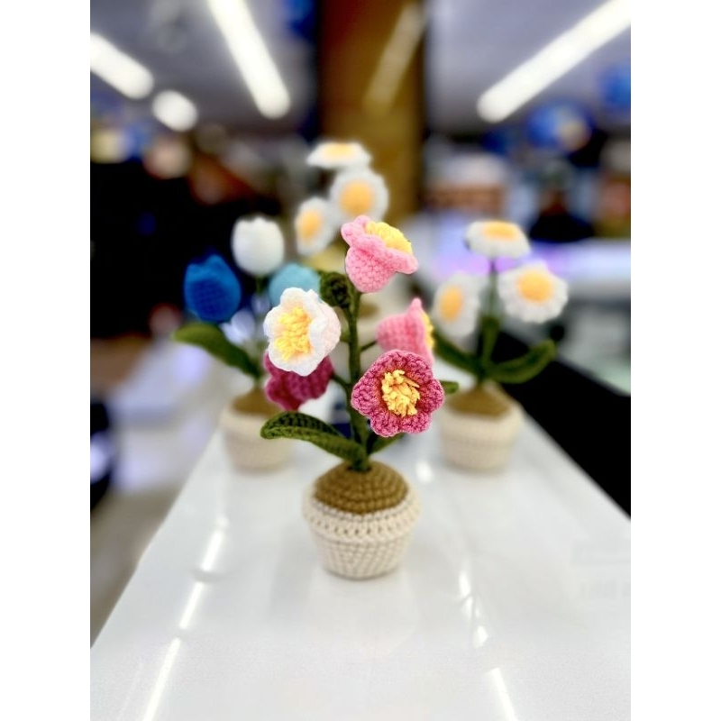 Chậu hoa mini bằng len handmade