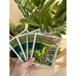 Vua bật chồi kích chồi kích Lộc gói 50g loại 1 Kích Thích Nảy Chồi Bung Đọt