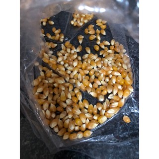 Bắp hạt nổ Mỹ (Ngô nổ) (500 gram/ gói) (Làm bắp rang bơ)