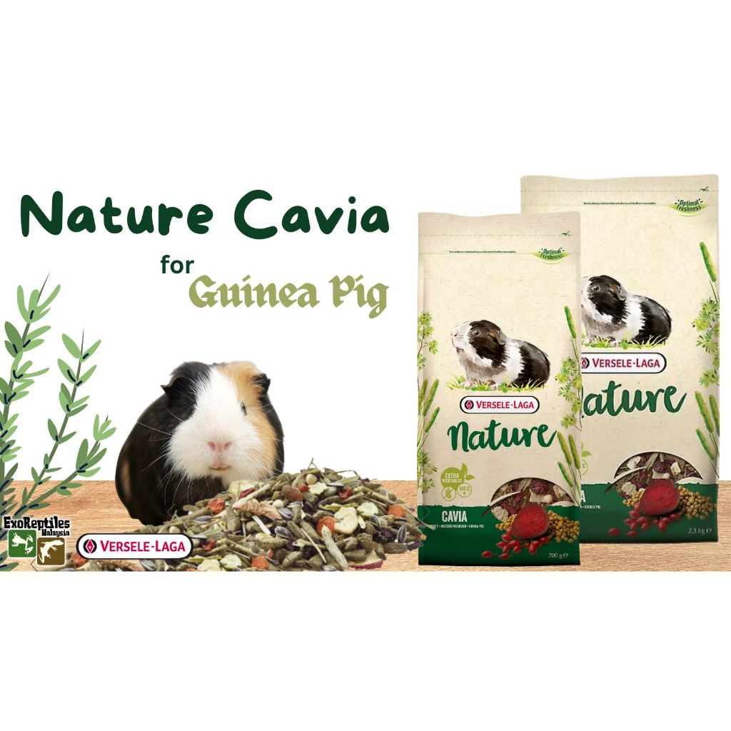 Versele Laga - Nature Cavia Guinea pig 700g 🐶 FREE SHIP 🐶 Thức ăn siêu dinh dưỡng cho bọ ú nhập khẩu Châu Âu