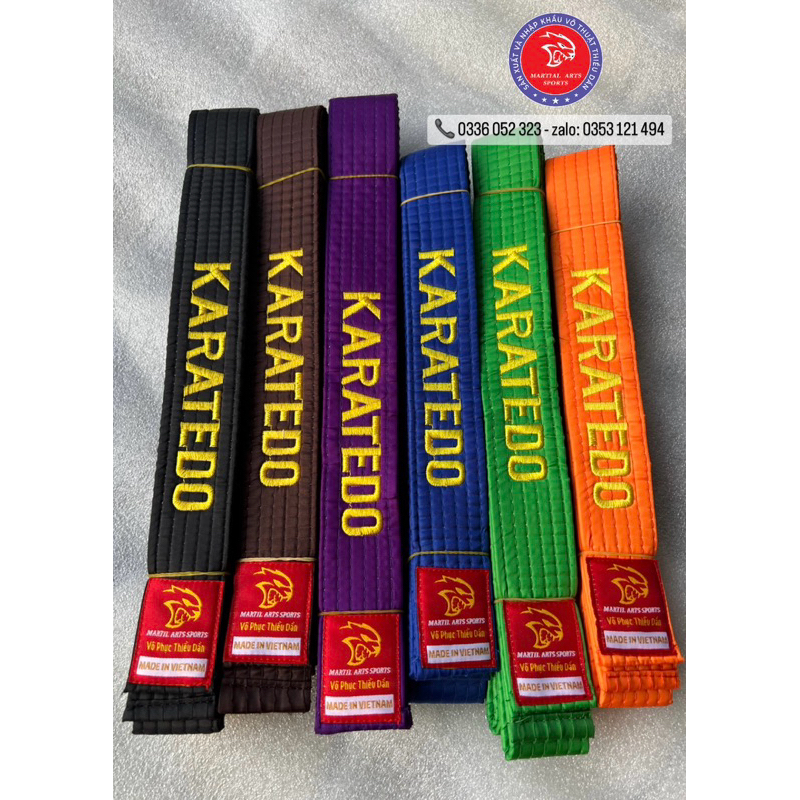 ĐAI PHONG TRÀO KARATE