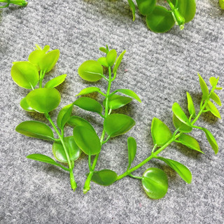 100gram lá táo chuột trang trí bó hoa