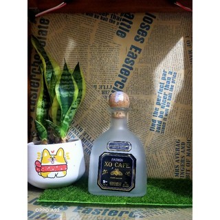 Vỏ chai rượu ngoại patrón chai trong nút gỗ